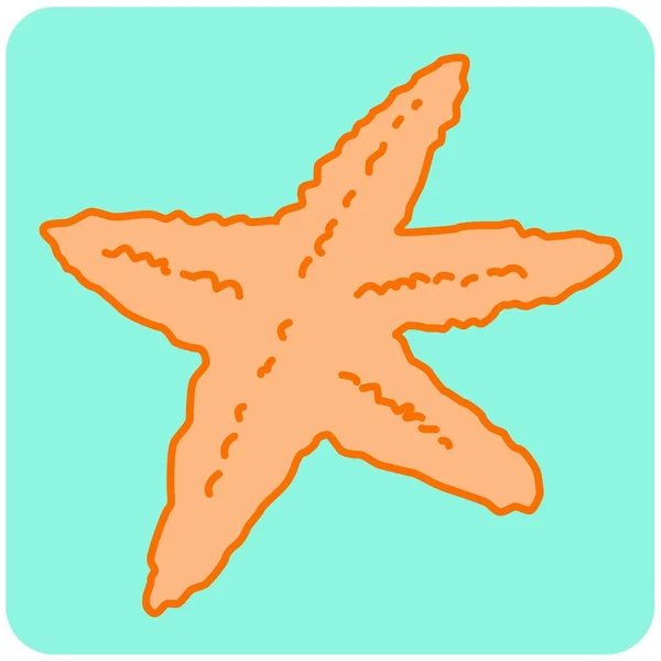 Ilustración Estrella de mar animal — Archivo Imágenes Vectoriales
