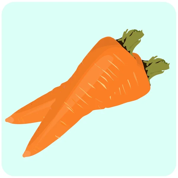 Ilustración de zanahorias — Vector de stock
