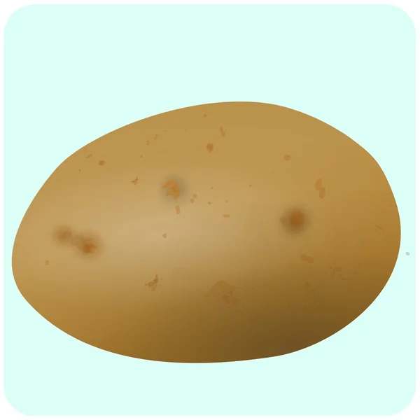 Illustration de la pomme de terre — Image vectorielle
