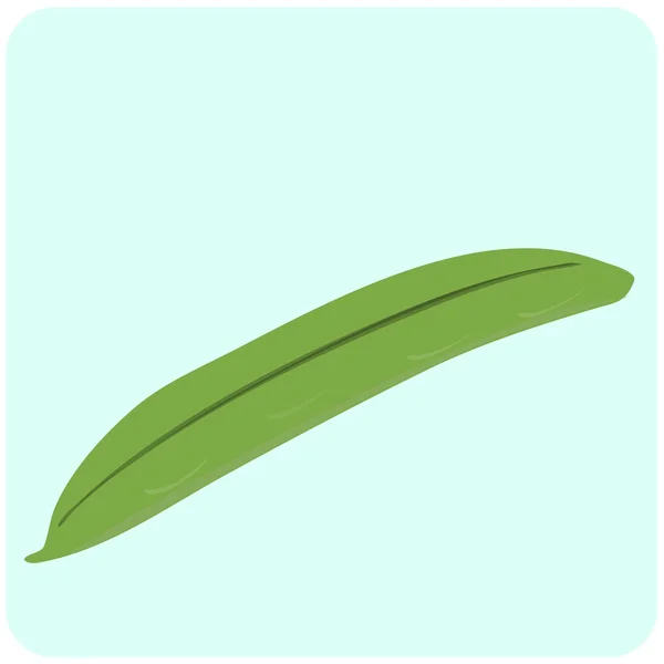 Ilustración de Runner Bean — Vector de stock