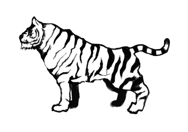 Illustration Vectorielle Peinture Encre Simple Tigre — Image vectorielle