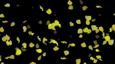 Dökülen Saçlar İçin Grafiksel Danslar