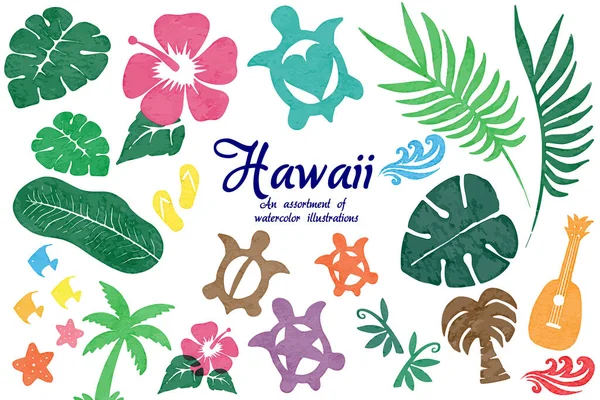 Bir parça suluboya dokunuşlu Hawaii Illustrasyonları