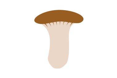 Basit ve şirin shiitake vektör çizimi
