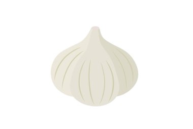 Basit ve şirin sarımsağın vektör çizimi