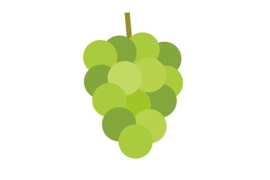 Basit ve şirin bir misk kedisinin vektör çizimi