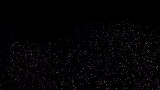 Різноманітність Різні Кольорові Світлові Частинки Танцюють Відео Роздільною Здатністю Прозорість — стокове відео