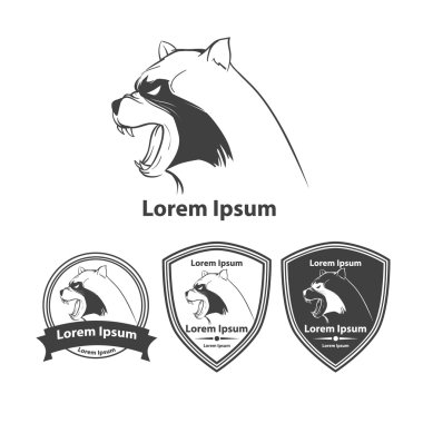Rakun kızgın logosu