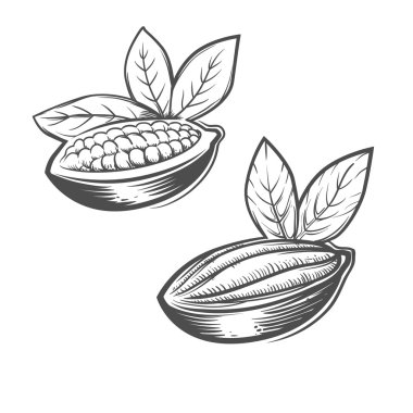 kakao çikolata logosu