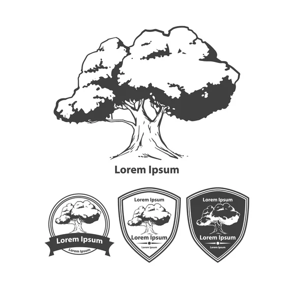 Elementos del logotipo del árbol — Vector de stock