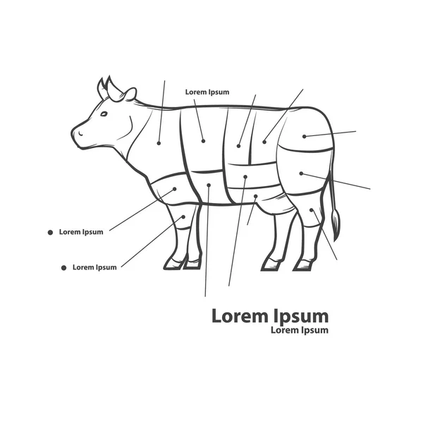 Carne de vaca partes carne —  Vetores de Stock