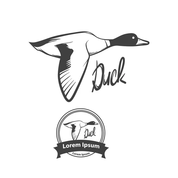 Duck fly logo — Stock Vector