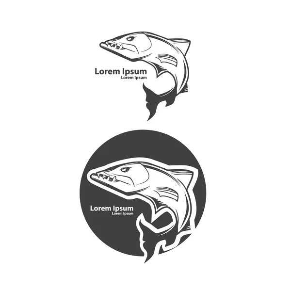 Barracuda риба небезпеку — стоковий вектор