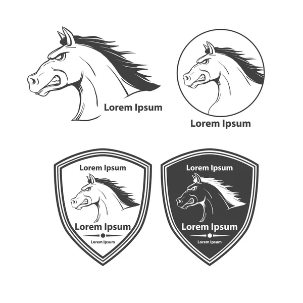 Logotipo esporte cavalo — Vetor de Stock