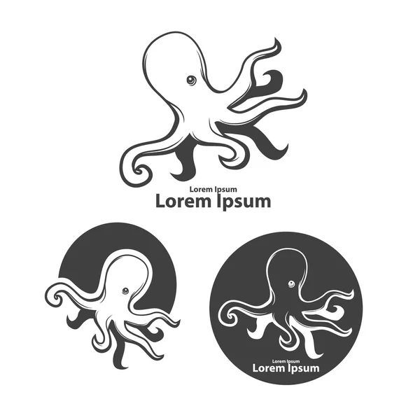 Octopus logo zee — Stockvector