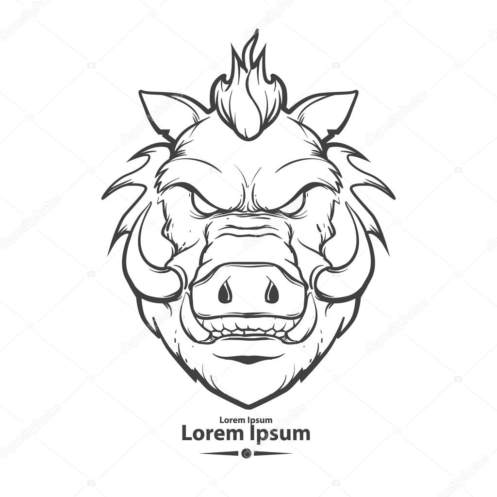Simple Boar Head Drawing - Jamie Paul Smith
