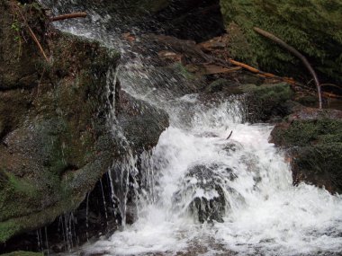 Lysa Hora 'dan kasabaya ve önü ağaçlarla kaplı dağlardan güneşli bir yaz gününde Çek Cumhuriyeti' nde yürüyüş ve seyahat