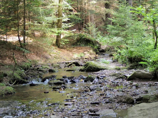 チェコ共和国のイェセニーキにあるレゾフ滝の自然保護地域の森自然のままの自然 山の森 — ストック写真