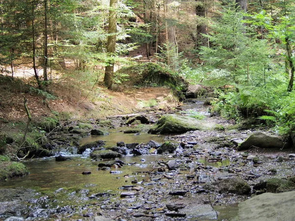 Foresta Nell Area Paesaggio Protetta Naturale Delle Cascate Resov Jeseniky — Foto Stock