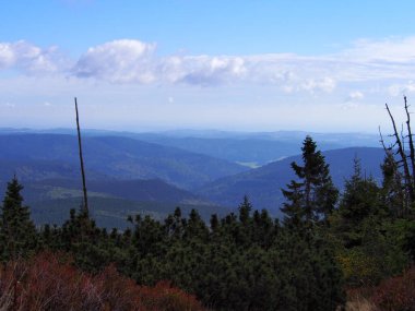 Güneşli bir sonbahar gününde, arka planda ağaçlarla kaplı bir yamaçta uzanan taşlı dağ yolu, Jeseniky dağları, Çek Cumhuriyeti, seyahat ve dağ yürüyüşü, engebeli dağların bozulmamış doğası.