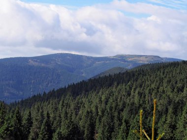 Dağ manzaralı ön planda çayır ve güneşli bir günde ormanlar, jeseniky dağları, czech cumhuriyeti, yeşil-mavi arka plan duvar kağıdı, seyahat ve dağ yürüyüşü, engebeli dağların bozulmamış doğası