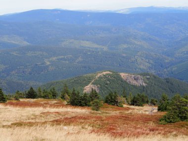 Dağ manzaralı ön planda çayır ve güneşli bir günde ormanlar, jeseniky dağları, czech cumhuriyeti, yeşil-mavi arka plan duvar kağıdı, seyahat ve dağ yürüyüşü, engebeli dağların bozulmamış doğası