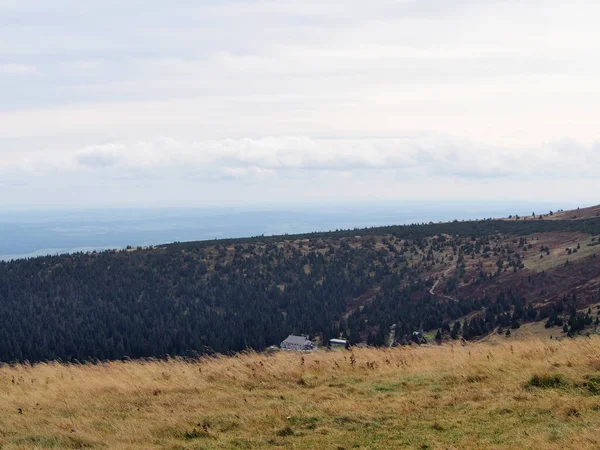 Bergblick Mit Wiese Vordergrund Und Wäldern Einem Sonnigen Tag Jeseniky — Stockfoto