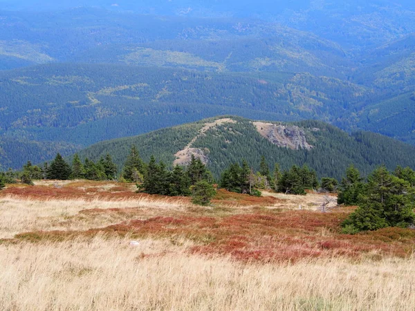 Bergblick Mit Wiese Vordergrund Und Wäldern Einem Sonnigen Tag Jeseniky — Stockfoto