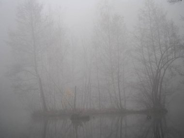 Kasım öğleden sonra, beyaz sisli havada, kuru havada kale parkında yürüyüş, gölün etrafında gri öğleden sonra ağaçlar, Radun kalesi, Çek Cumhuriyeti, arka plan