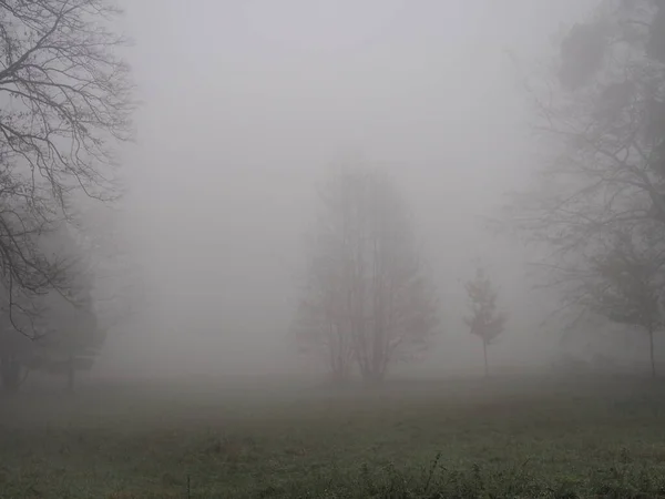 Après Midi Novembre Dans Brouillard Blanc Épais Promenade Dans Parc — Photo