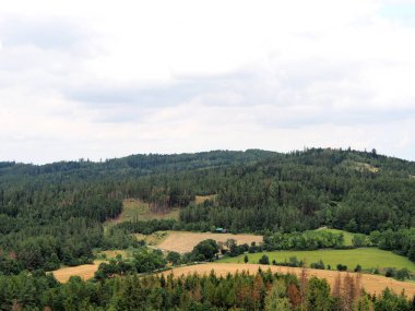 Tarımsal bir arazide tahıllı bir tarla manzarası, arka planda ormanlar ve tepeler, yaz yürüyüşü, beyaz bulutlu gökyüzü,