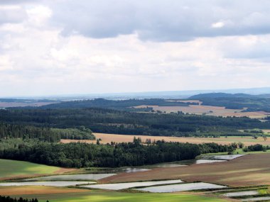 Kare su rezervlerinin tarlalardaki görüntüsü, tarım arazilerindeki şelaleler, arka plandaki orman ve tepeler, yaz yürüyüşü, beyaz bulutlu gökyüzü,