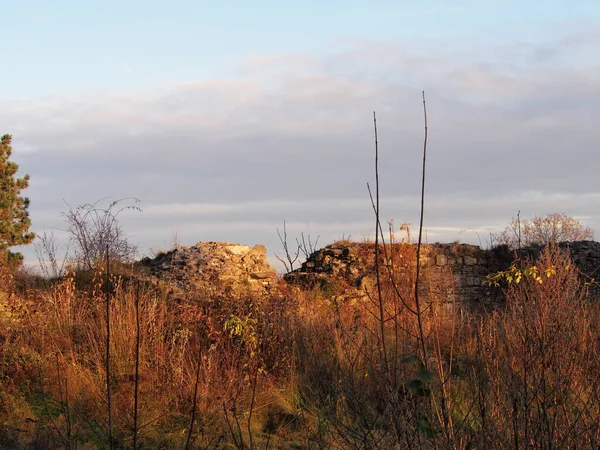 Tarde Outono Floresta Perto Das Ruínas Castelo Pedra Velha Dia — Fotografia de Stock