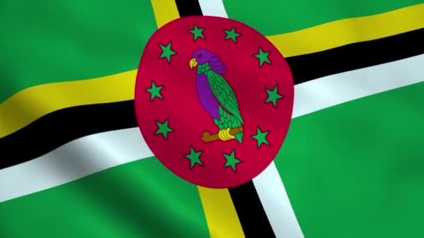 Una bandera de Dominica — Vídeo de stock