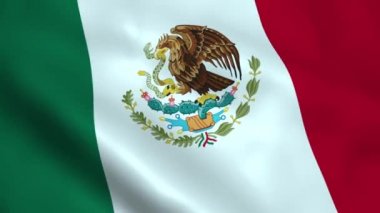 A Mexican flag