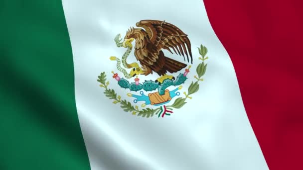 一面墨西哥国旗 — 图库视频影像