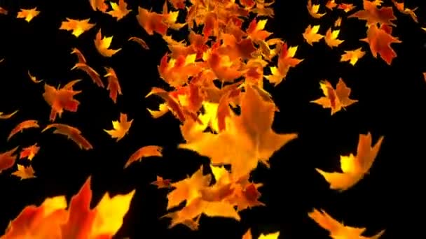 Фон HD Loopable с красивыми падающими листьями — стоковое видео
