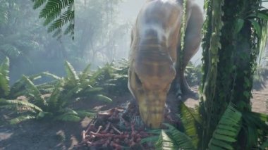 Palmiye ağacının önündeki bir ağaç