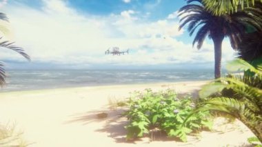 Bir grup insan bir plajda palmiye ağacıyla