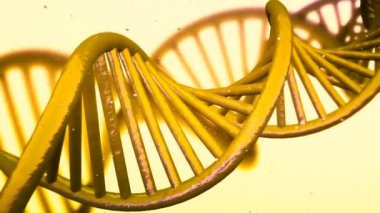 Tahta bir sandalyeye yakın çekim