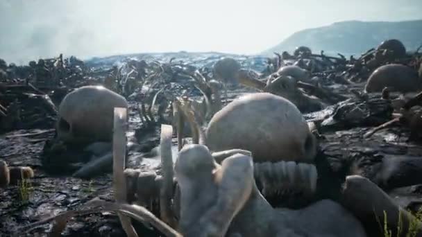 Lidské kosti a lebky roztroušené na poli minulé bitvy — Stock video