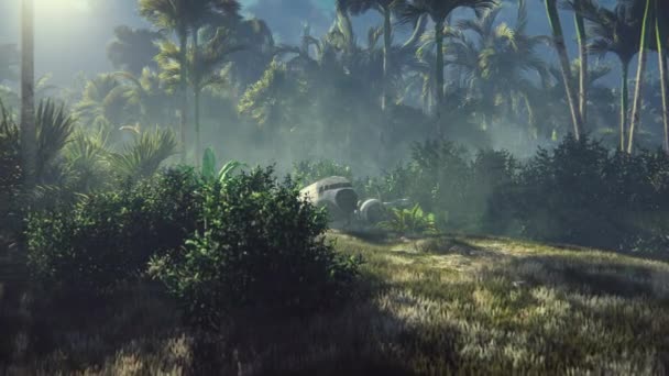 Een wrak vliegtuig ligt in de jungle te midden van palmbomen en tropische vegetatie — Stockvideo
