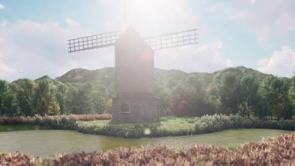 Een windmolen bovenop een grasveld — Stockvideo