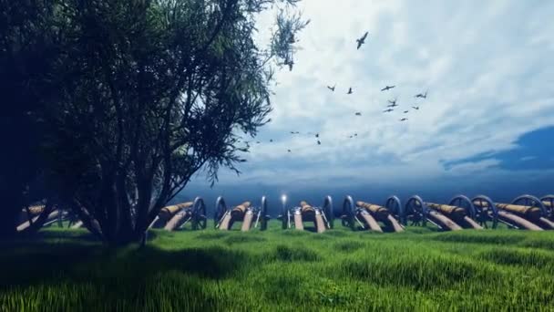 Средневековые пушки в поле, посреди зеленой травы, в облачный день, перед битвой — стоковое видео