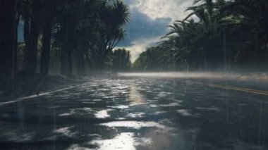 Bir su kütlesinin yanında bir grup palmiye.