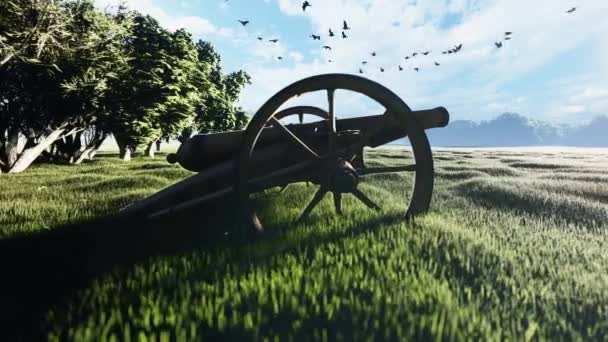 A plane sitting on top of a grass covered field — Stock Video