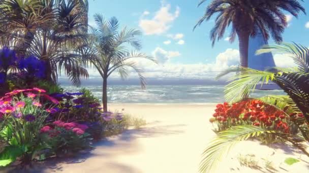 Plaża z palmą — Wideo stockowe