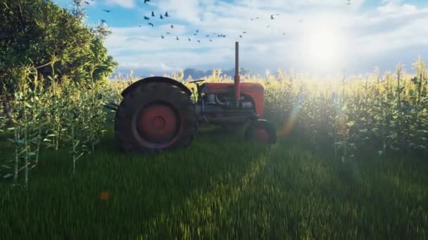 Un tractor en un campo — Vídeos de Stock