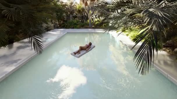 A pool next to a palm tree — Stock Video