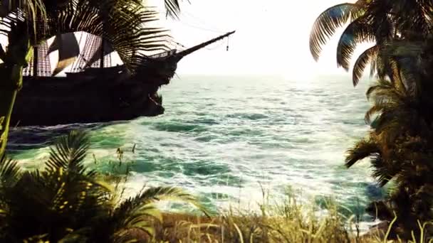 Een palm boom zittend naast een watermassa — Stockvideo